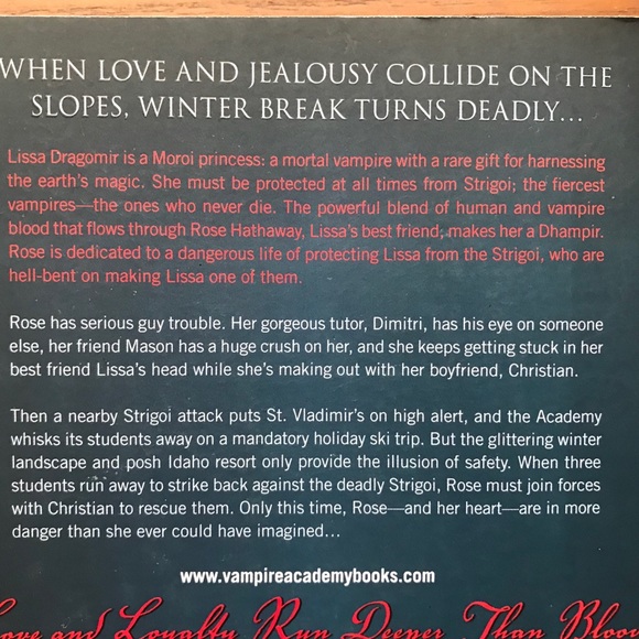 Vampire Academy 2 book bundle - Picture 9 of 9